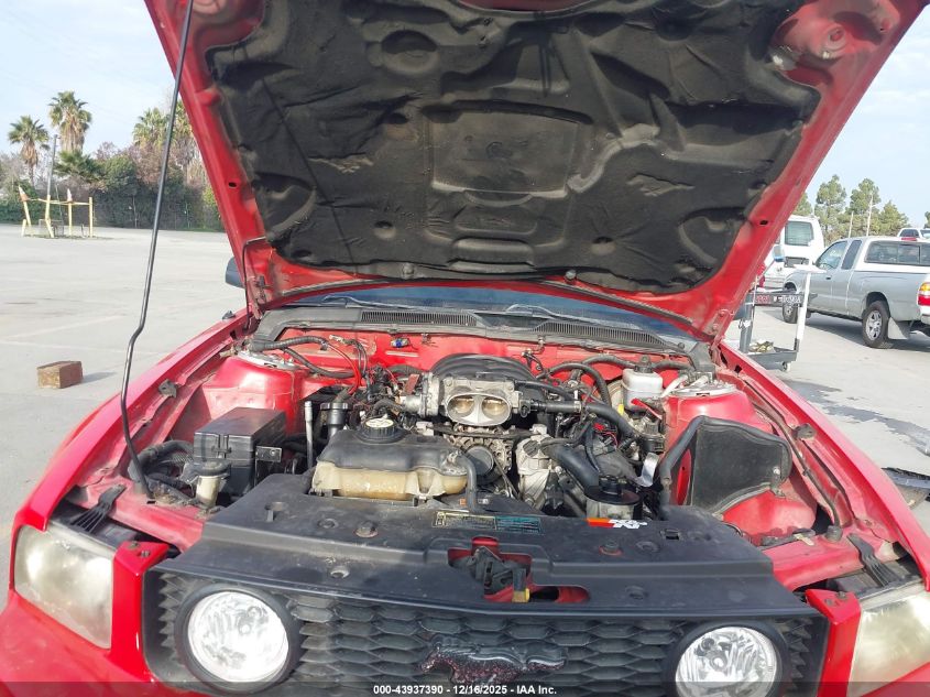 2005 Ford Mustang Gt Deluxe/Gt Premium VIN: 1ZVHT82H255129974 Lot: 43937390