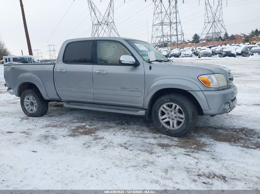 2005 Toyota Tundra Sr5 V8 VIN: 5TBDT44145S469494 Lot: 43937523