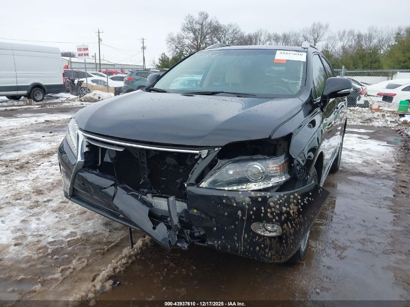 2015 Lexus Rx 350 VIN: 2T2BK1BA7FC329464 Lot: 43937610