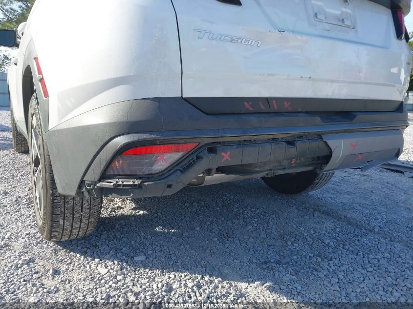 2025 Hyundai Tucson Sel VIN: 5NMJBCDE5SH445147 Lot: 43937863