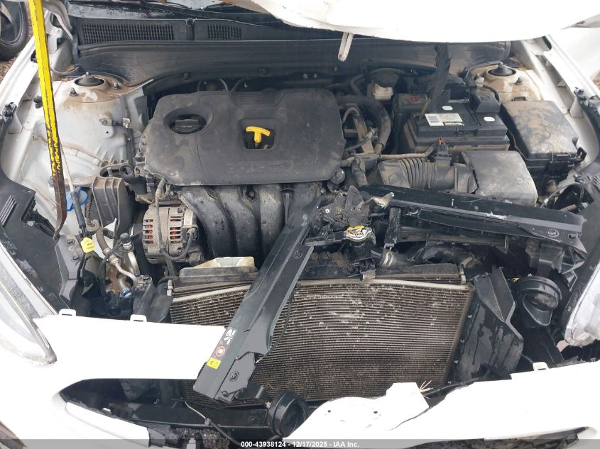 2019 Kia Forte Fe VIN: 3KPF24ADXKE063209 Lot: 43938124