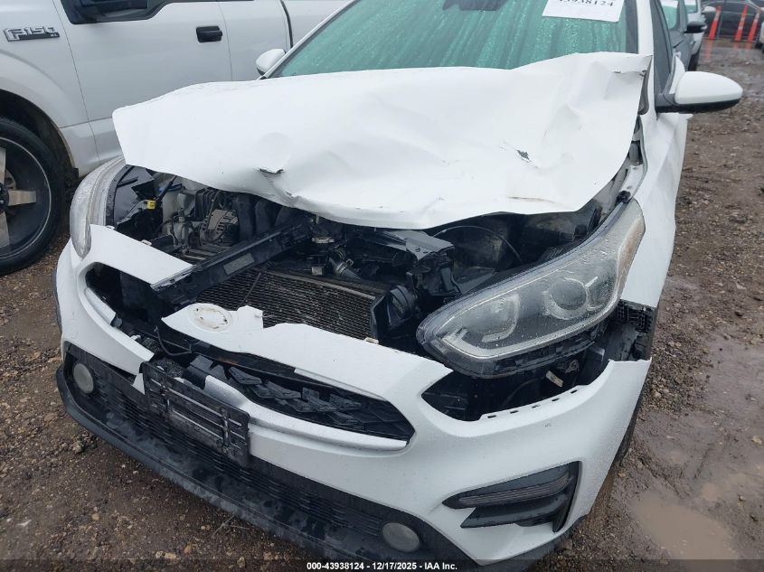 2019 Kia Forte Fe VIN: 3KPF24ADXKE063209 Lot: 43938124