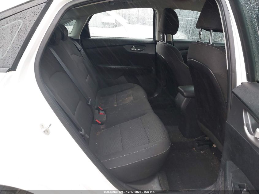 2019 Kia Forte Fe VIN: 3KPF24ADXKE063209 Lot: 43938124