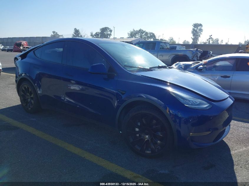 TESLA MODEL Y STANDARD RANGE REAR-WHEEL DRIVE