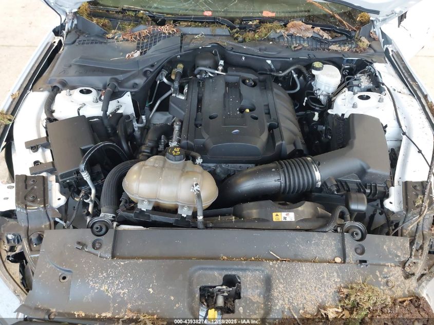 2016 Ford Mustang Ecoboost VIN: 1FA6P8TH1G5269374 Lot: 43938274