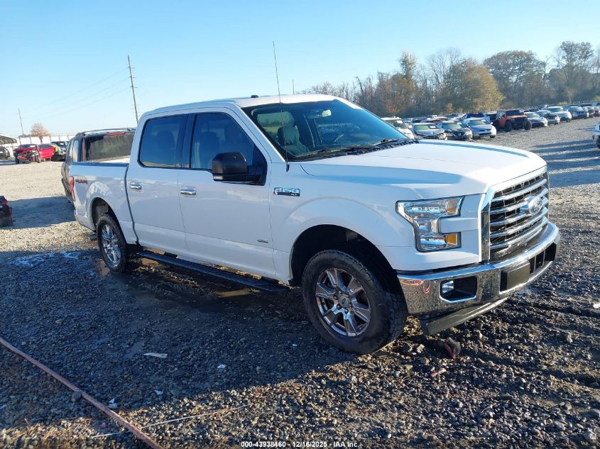 FORD F-150 XLT