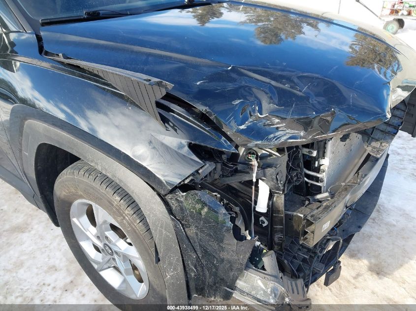 2023 Hyundai Tucson Sel VIN: 5NMJBCAE1PH232630 Lot: 43938499