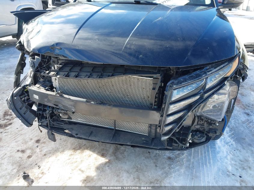 2023 Hyundai Tucson Sel VIN: 5NMJBCAE1PH232630 Lot: 43938499