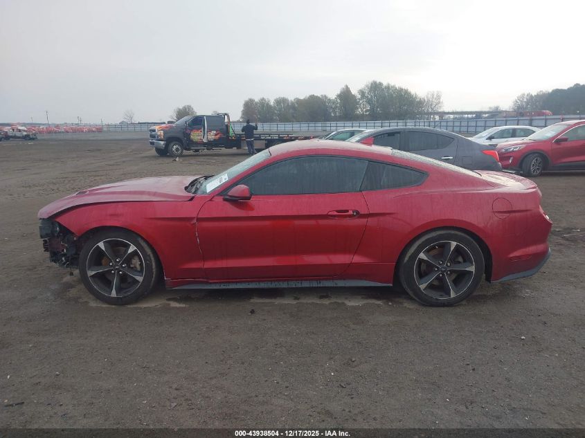 2020 Ford Mustang Ecoboost Fastback VIN: 1FA6P8TH5L5172267 Lot: 43938504