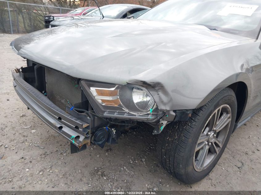 2010 Ford Mustang V6/V6 Premium VIN: 1ZVBP8AN9A5101228 Lot: 43938693