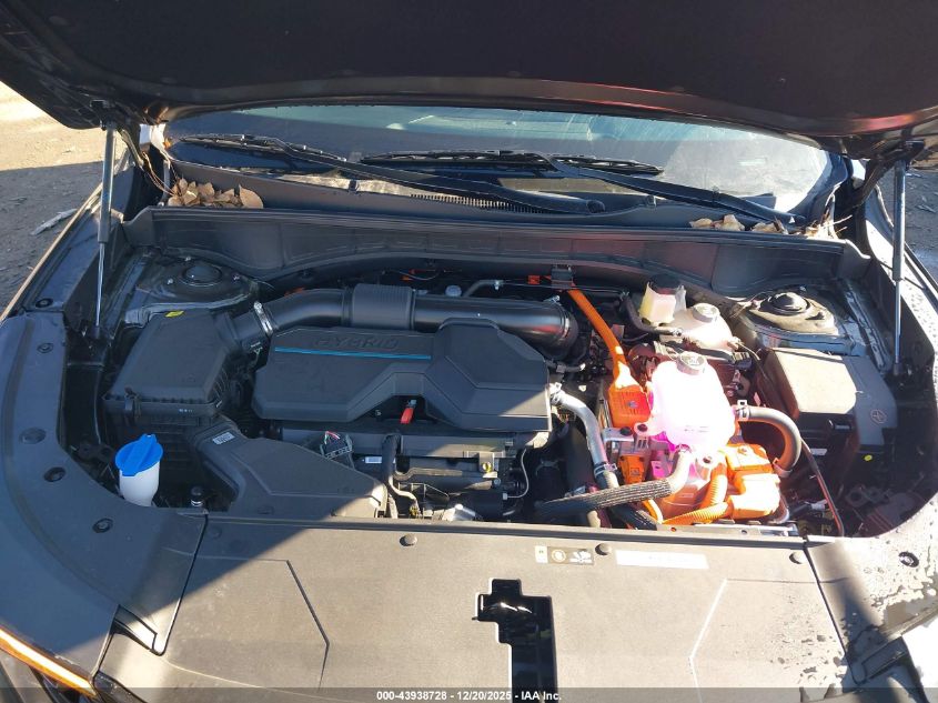 2025 Kia Sorento Hybrid Ex VIN: KNDRHDJG3S5419100 Lot: 43938728