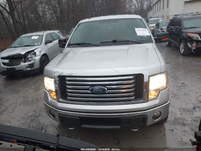 2011 Ford F-150 Xlt VIN: 1FTFX1ET3BFB80007 Lot: 43938905