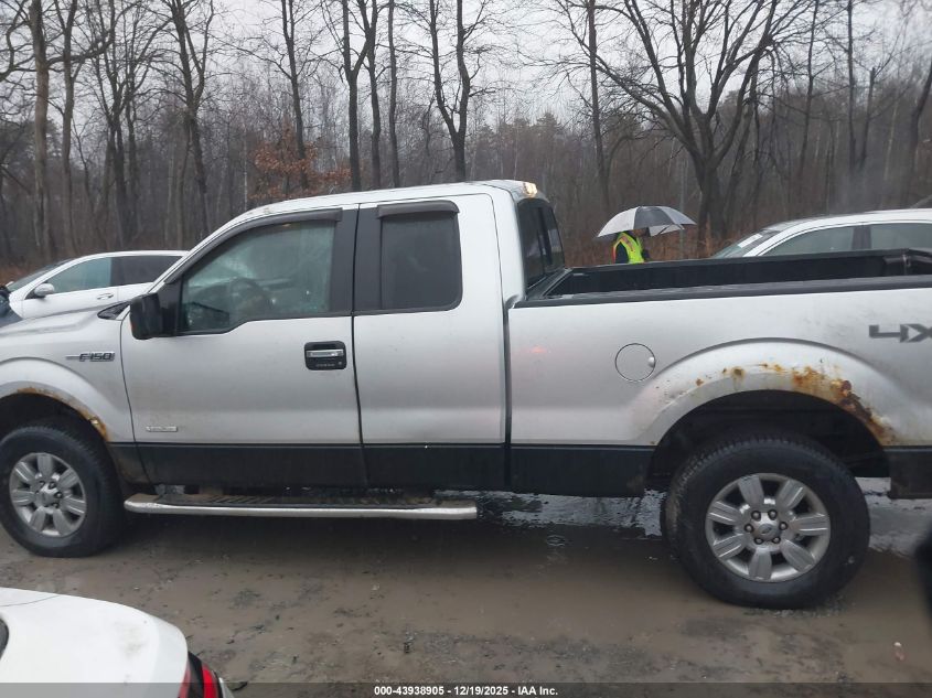 2011 Ford F-150 Xlt VIN: 1FTFX1ET3BFB80007 Lot: 43938905