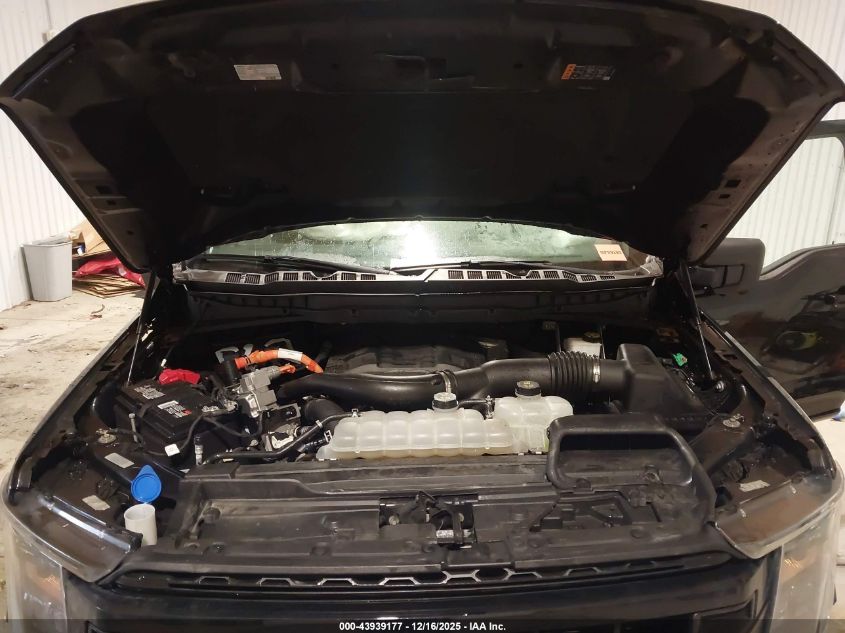 2023 Ford F-150 Xlt VIN: 1FTFW1ED3PFC67568 Lot: 43939177