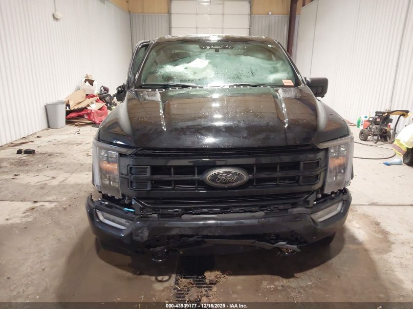 2023 Ford F-150 Xlt VIN: 1FTFW1ED3PFC67568 Lot: 43939177