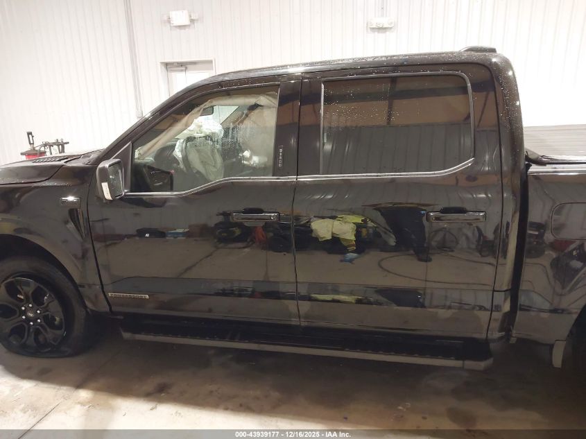 2023 Ford F-150 Xlt VIN: 1FTFW1ED3PFC67568 Lot: 43939177