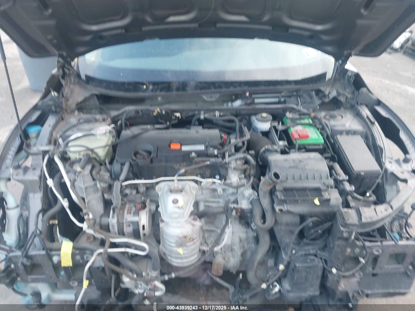 2016 Honda Civic Lx VIN: 19XFC2F50GE224645 Lot: 43939243