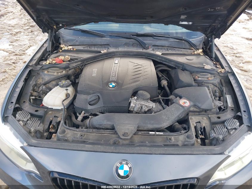 2015 BMW M235 xDrive VIN: WBA1J9C5XFV371205 Lot: 43939532
