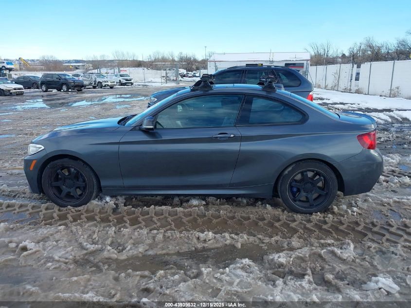 2015 BMW M235 xDrive VIN: WBA1J9C5XFV371205 Lot: 43939532