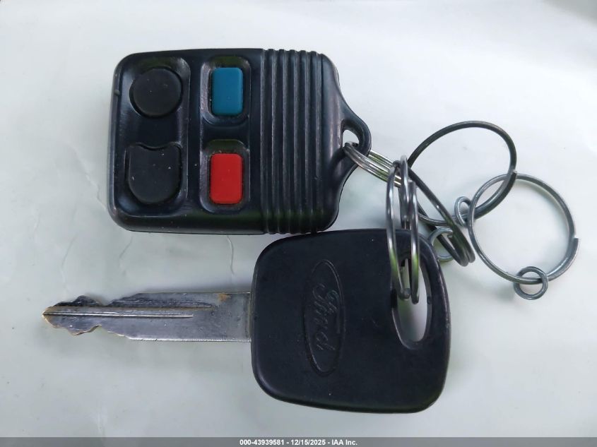 2004 Ford Mustang Gt VIN: 1FAFP42X54F177207 Lot: 43939581