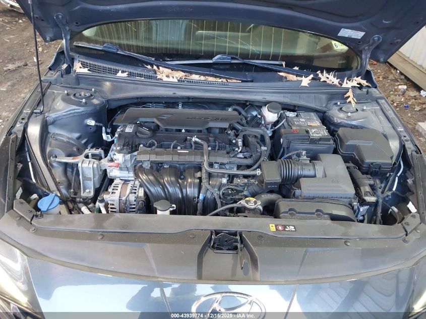 2023 Hyundai Elantra Limited VIN: 5NPLP4AG5PH114021 Lot: 43939774