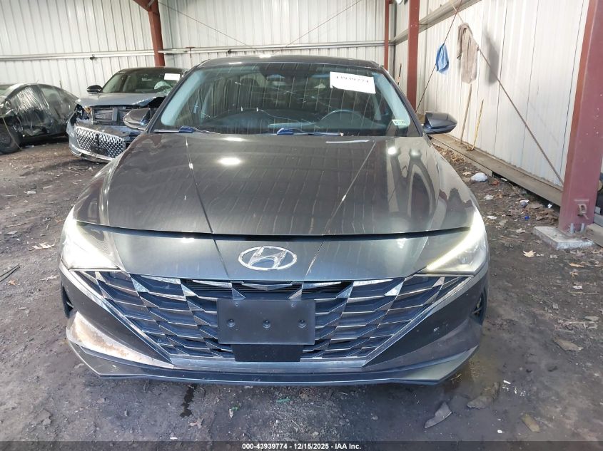 2023 Hyundai Elantra Limited VIN: 5NPLP4AG5PH114021 Lot: 43939774