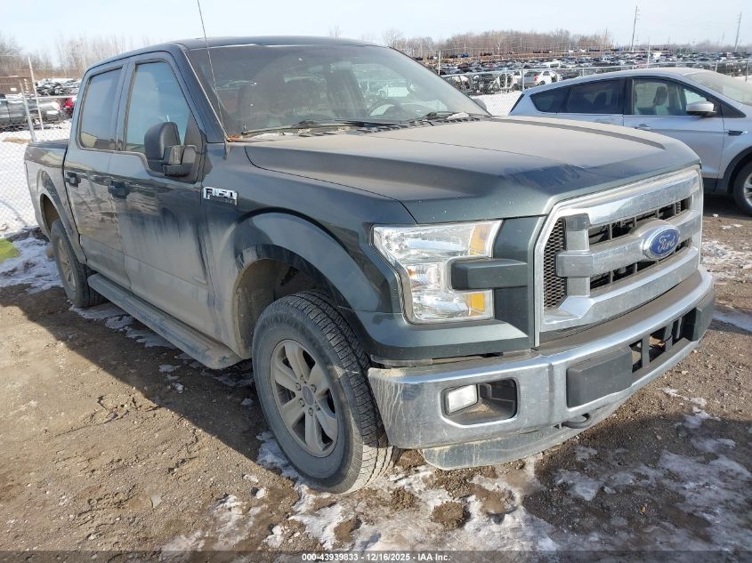 2015 Ford F-150 Xlt VIN: 1FTEW1EG1FKD69642 Lot: 43939833