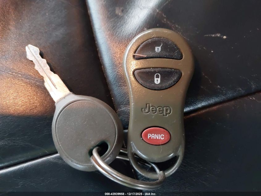 2004 Jeep Grand Cherokee Limited VIN: 1J8GW58N74C234157 Lot: 43939958