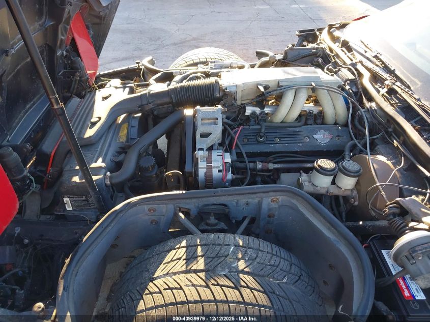 1989 Chevrolet Corvette VIN: 1G1YY2186K5120430 Lot: 43939979