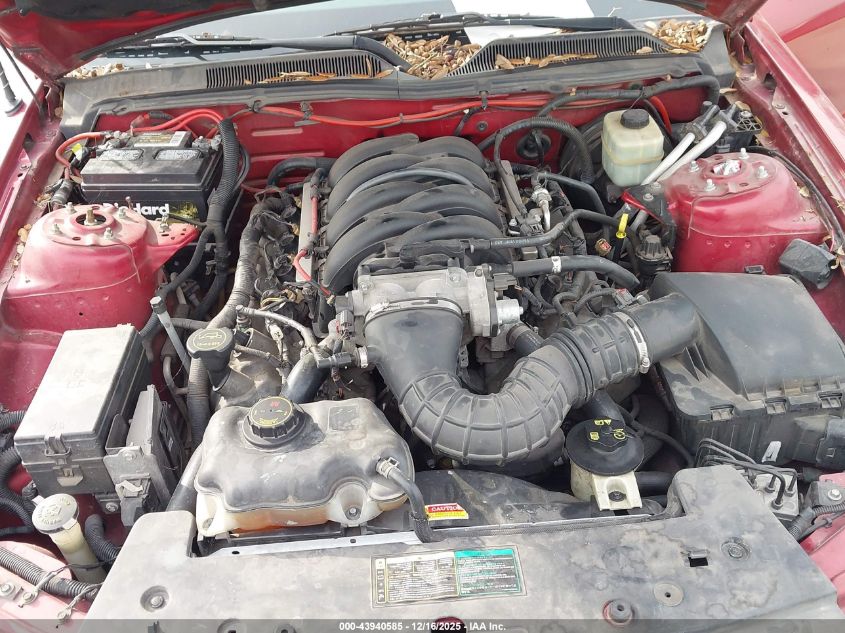 2005 Ford Mustang Gt VIN: 1ZVFT85H655210379 Lot: 43940585