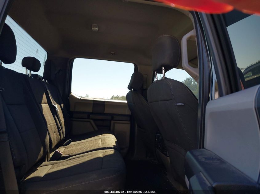 2019 Ford F-150 Xl VIN: 1FTEW1CP5KFA08081 Lot: 43940722