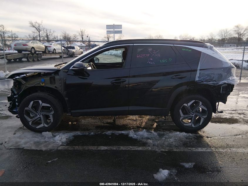 2024 Hyundai Tucson Limited VIN: 5NMJECDEXRH396576 Lot: 43941004