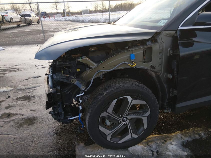 2024 Hyundai Tucson Limited VIN: 5NMJECDEXRH396576 Lot: 43941004
