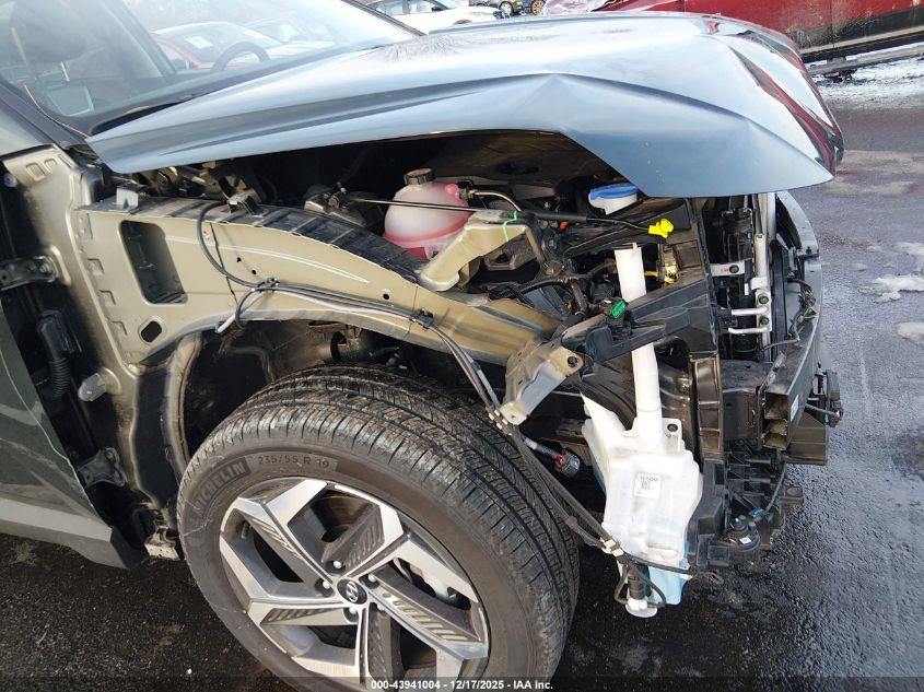 2024 Hyundai Tucson Limited VIN: 5NMJECDEXRH396576 Lot: 43941004