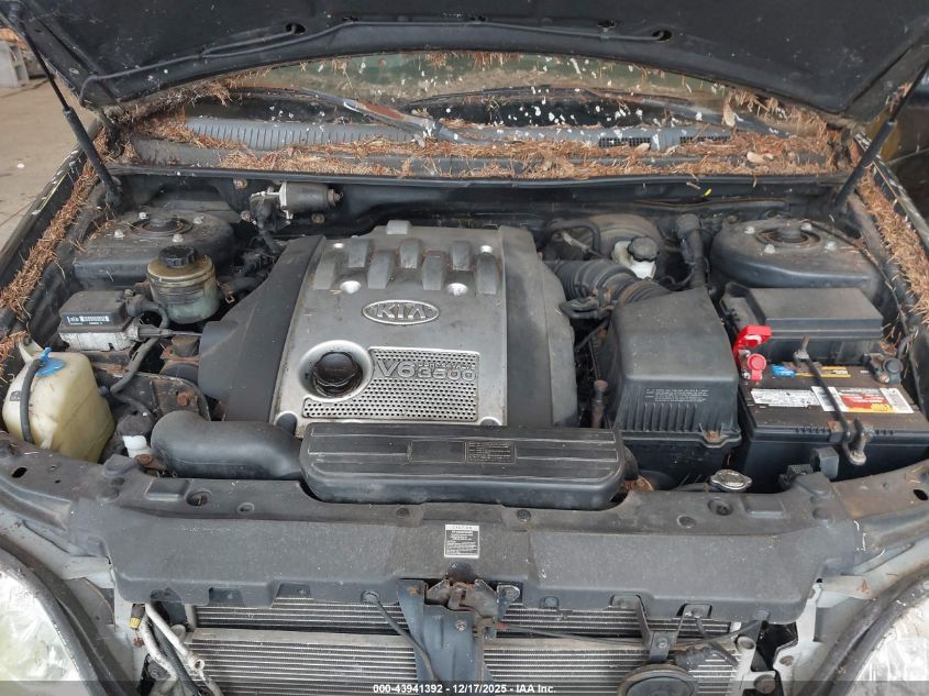 2005 Kia Sedona Ex/Lx VIN: KNDUP132856700353 Lot: 43941392