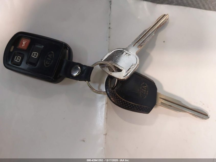 2005 Kia Sedona Ex/Lx VIN: KNDUP132856700353 Lot: 43941392