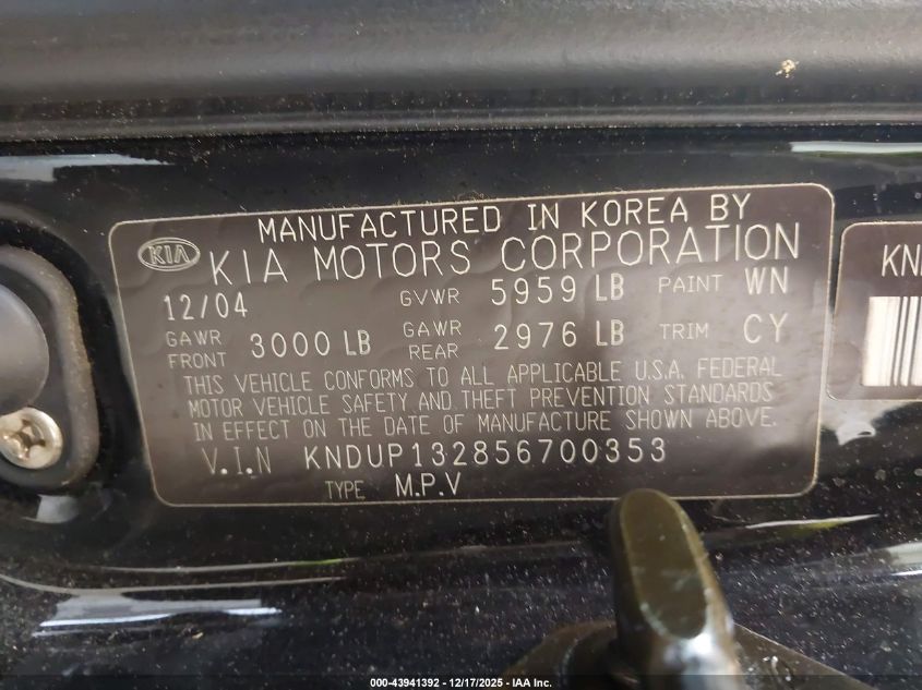 2005 Kia Sedona Ex/Lx VIN: KNDUP132856700353 Lot: 43941392
