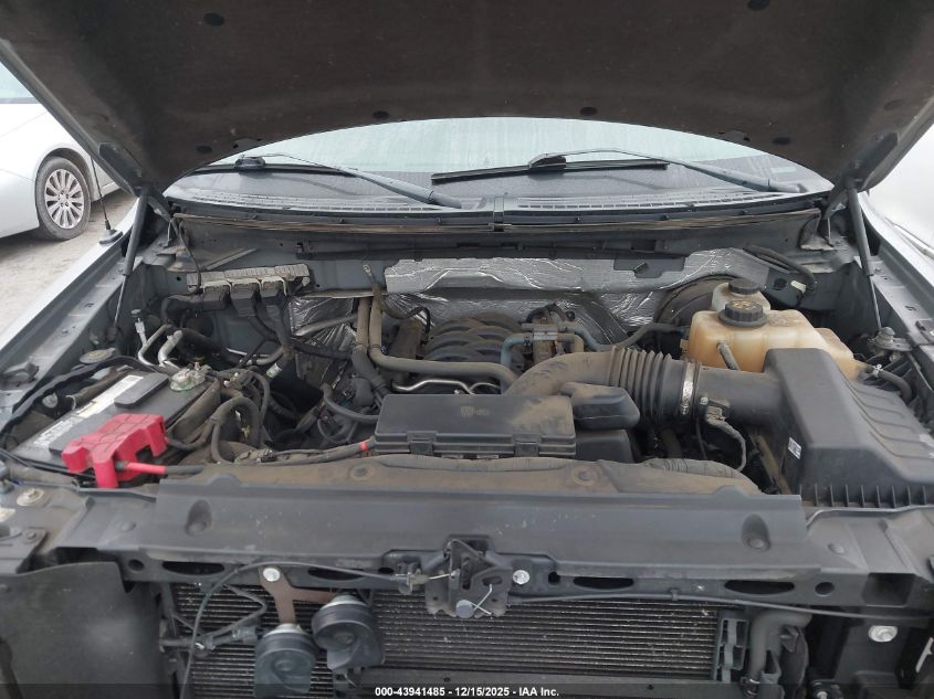 2013 Ford F-150 Xlt VIN: 1FTFX1CFXDFA54162 Lot: 43941485