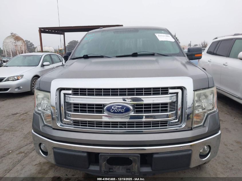 2013 Ford F-150 Xlt VIN: 1FTFX1CFXDFA54162 Lot: 43941485