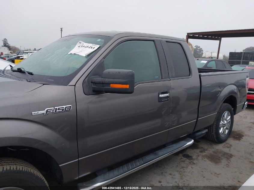 2013 Ford F-150 Xlt VIN: 1FTFX1CFXDFA54162 Lot: 43941485