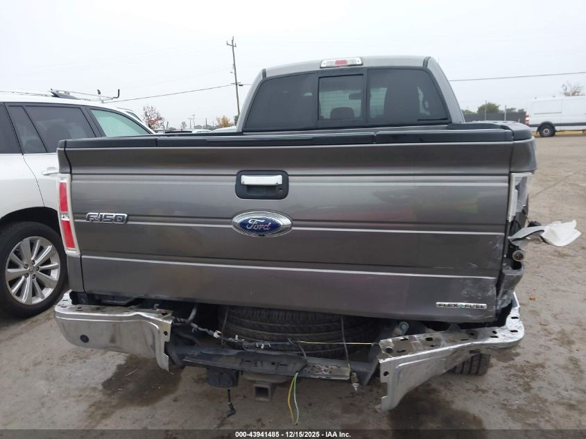 2013 Ford F-150 Xlt VIN: 1FTFX1CFXDFA54162 Lot: 43941485