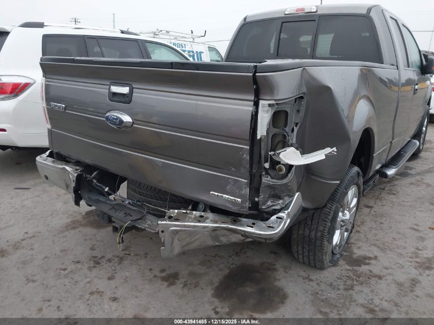 2013 Ford F-150 Xlt VIN: 1FTFX1CFXDFA54162 Lot: 43941485