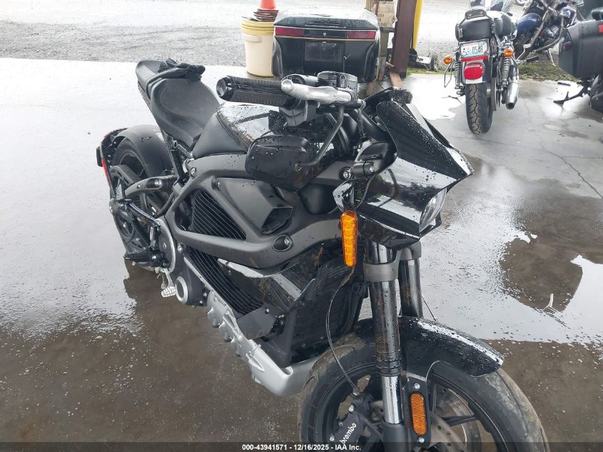 2020 Harley-Davidson Elw VIN: 1HD2XAEB4LB801235 Lot: 43941571