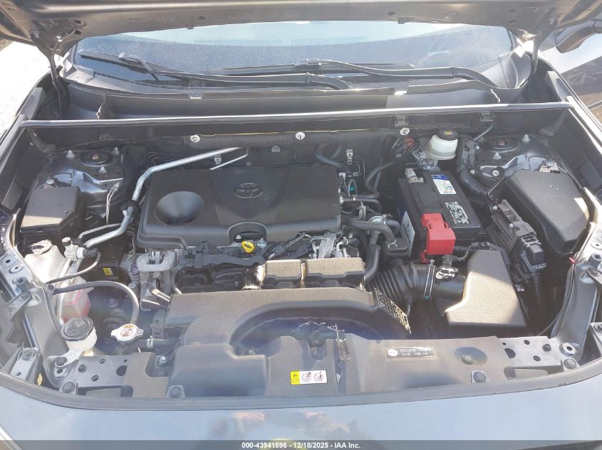 2019 Toyota Rav4 Limited VIN: JTMN1RFV5KD007497 Lot: 43941596