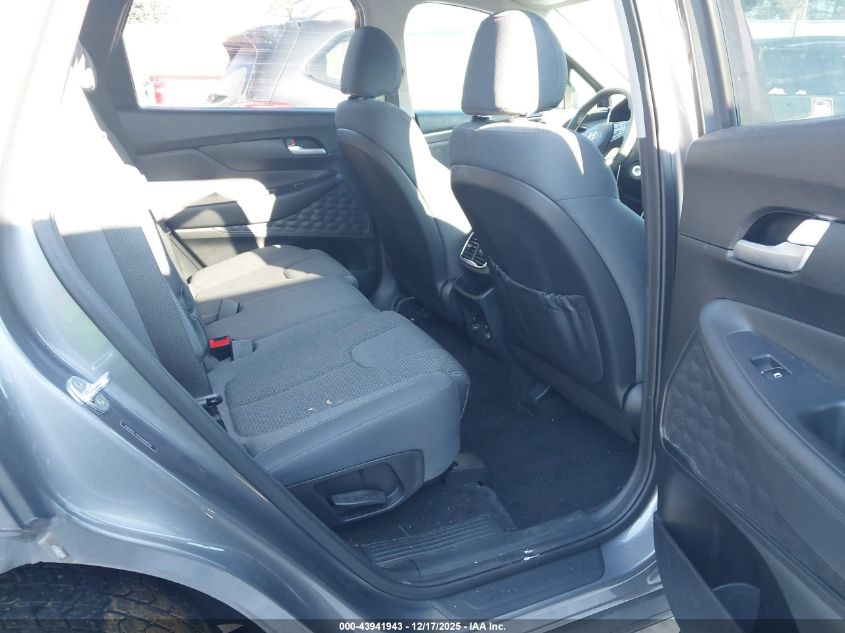 2019 Hyundai Santa Fe Se VIN: 5NMS2CAD3KH120996 Lot: 43941943