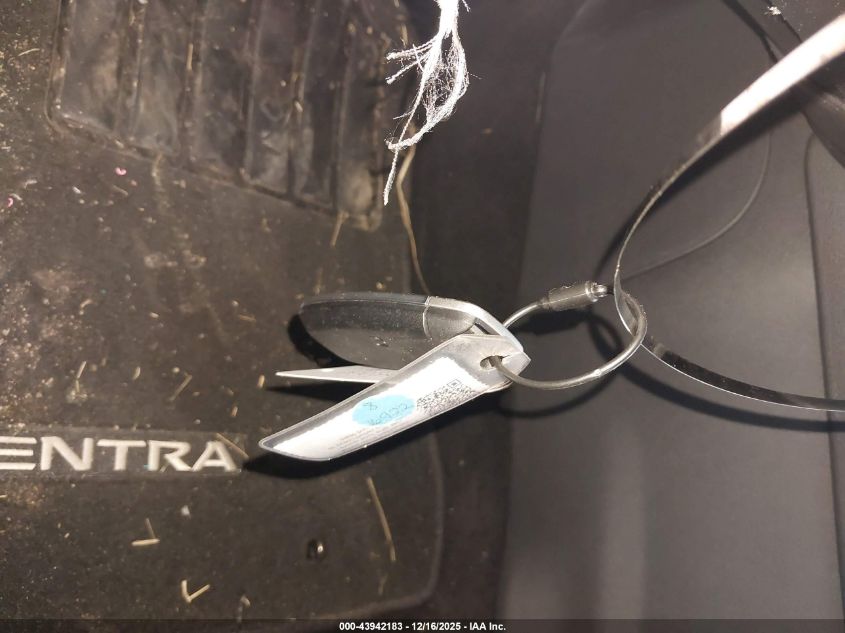 2025 Nissan Sentra Sv VIN: 3N1AB8CV8SY281447 Lot: 43942183