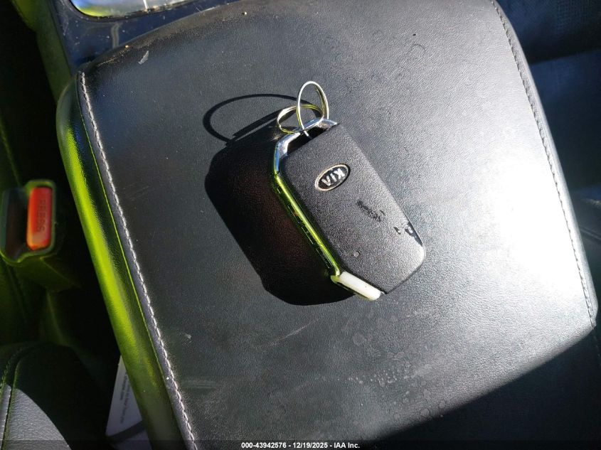 2020 Kia Telluride Ex VIN: 5XYP3DHC1LG001524 Lot: 43942576