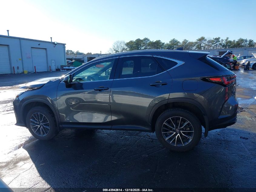 2024 Lexus Nx 350 Premium VIN: 2T2GGCEZ6RC057238 Lot: 43942614