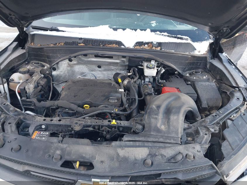 2023 Chevrolet Trailblazer Fwd Lt VIN: KL79MPS25PB194989 Lot: 43942717