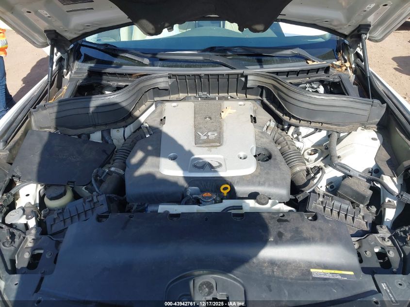 2010 Infiniti Ex35 VIN: JN1AJ0HP1AM701985 Lot: 43942761